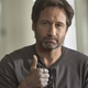 Illustration for article titled Californication, House Of Lies, Shameless, and Banshee have all been renewed